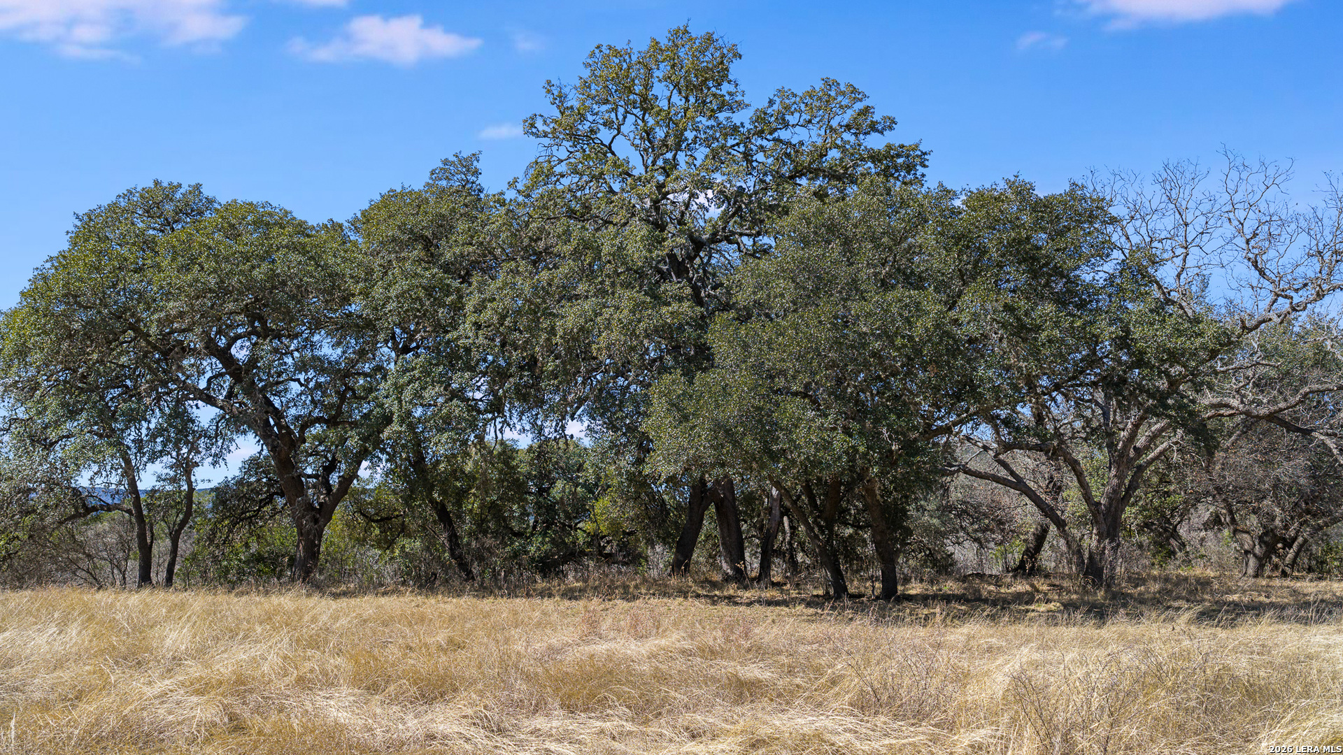 254 N. Fork Bonner Road Leakey TX 78873