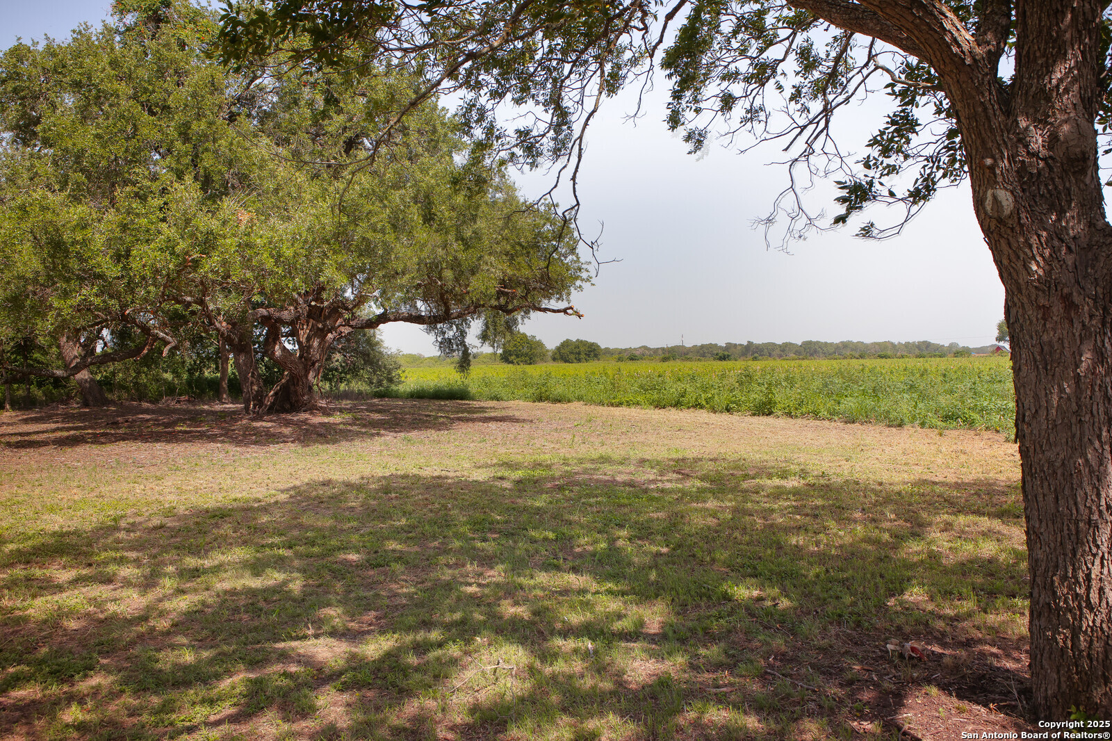 4901 Lower Seguin Cibolo TX 78108