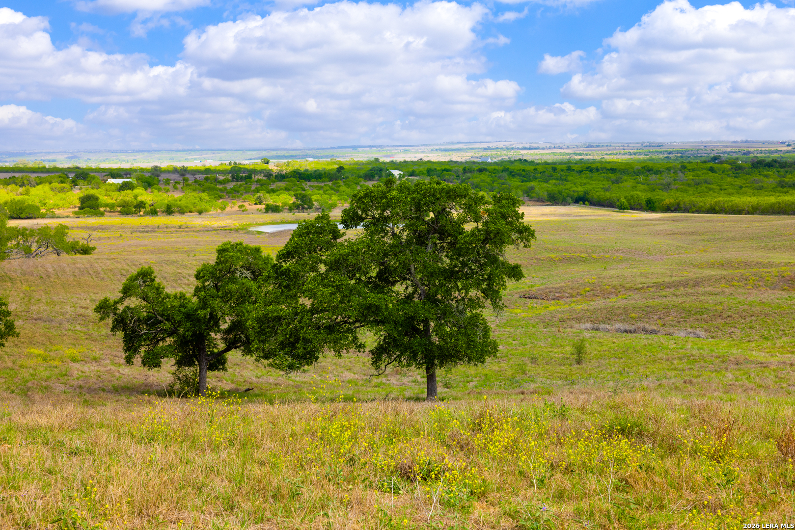 12017 Fm 20 Kingsbury TX 78638