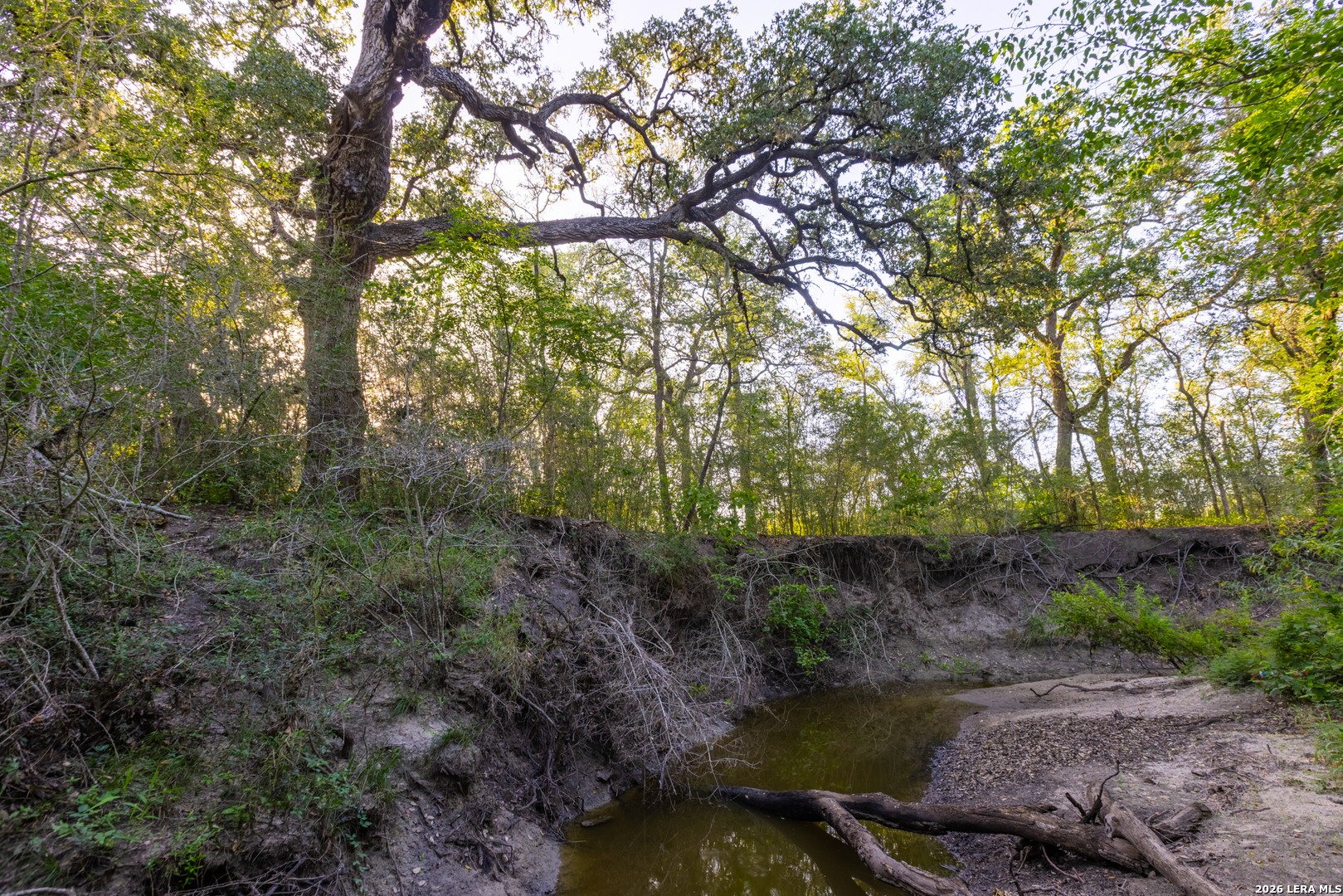 9549 County Road 277 Gillett TX 78116