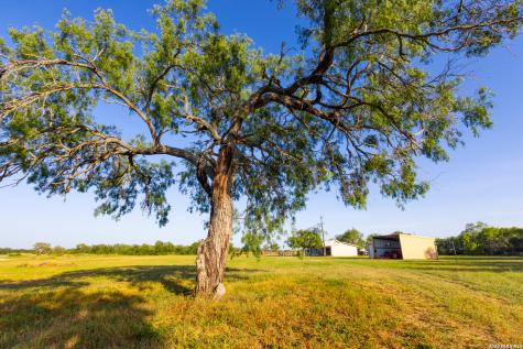 9549 County Road 277 Gillett TX 78116