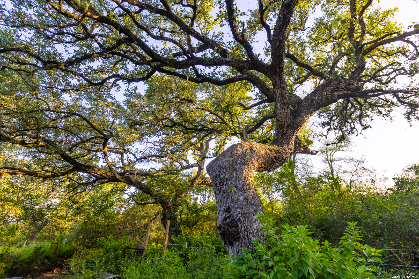 9549 County Road 277 Gillett TX 78116