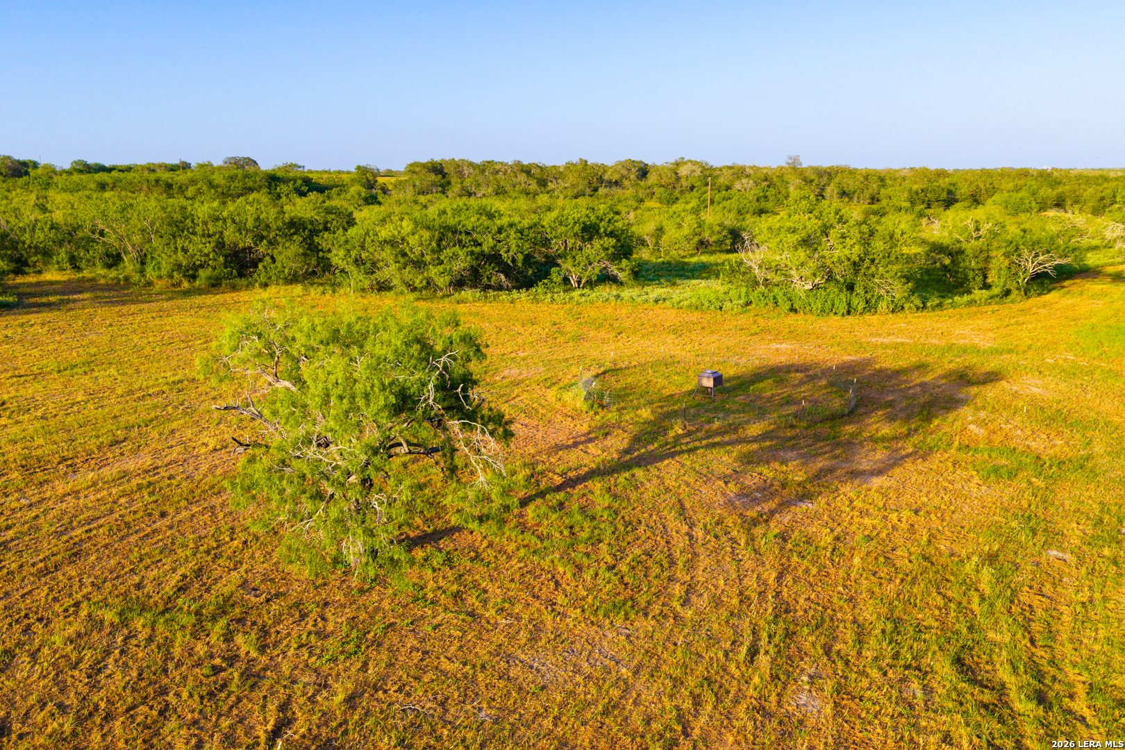 9549 County Road 277 Gillett TX 78116