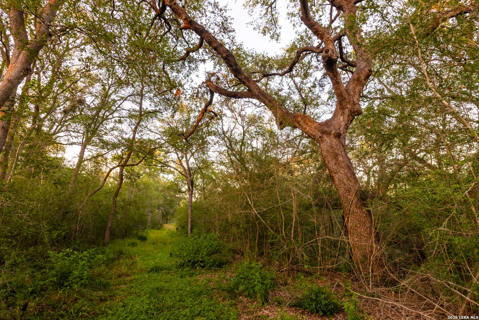 9549 County Road 277 Gillett TX 78116