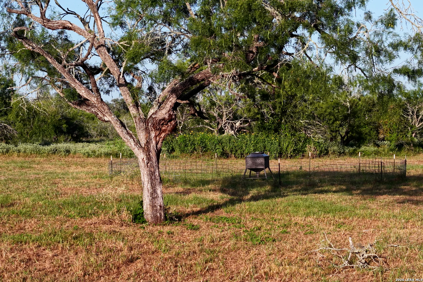 9549 County Road 277 Gillett TX 78116