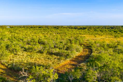 9549 County Road 277 Gillett TX 78116