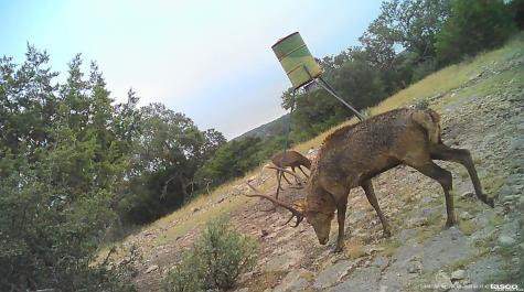 1 And 2 Texana Oaks Ranch Highway 377 Rocksprings TX 78880