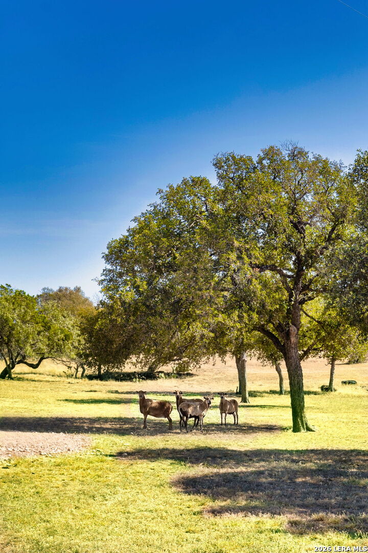 25525 Ranch Road 2323 Llano TX 78643