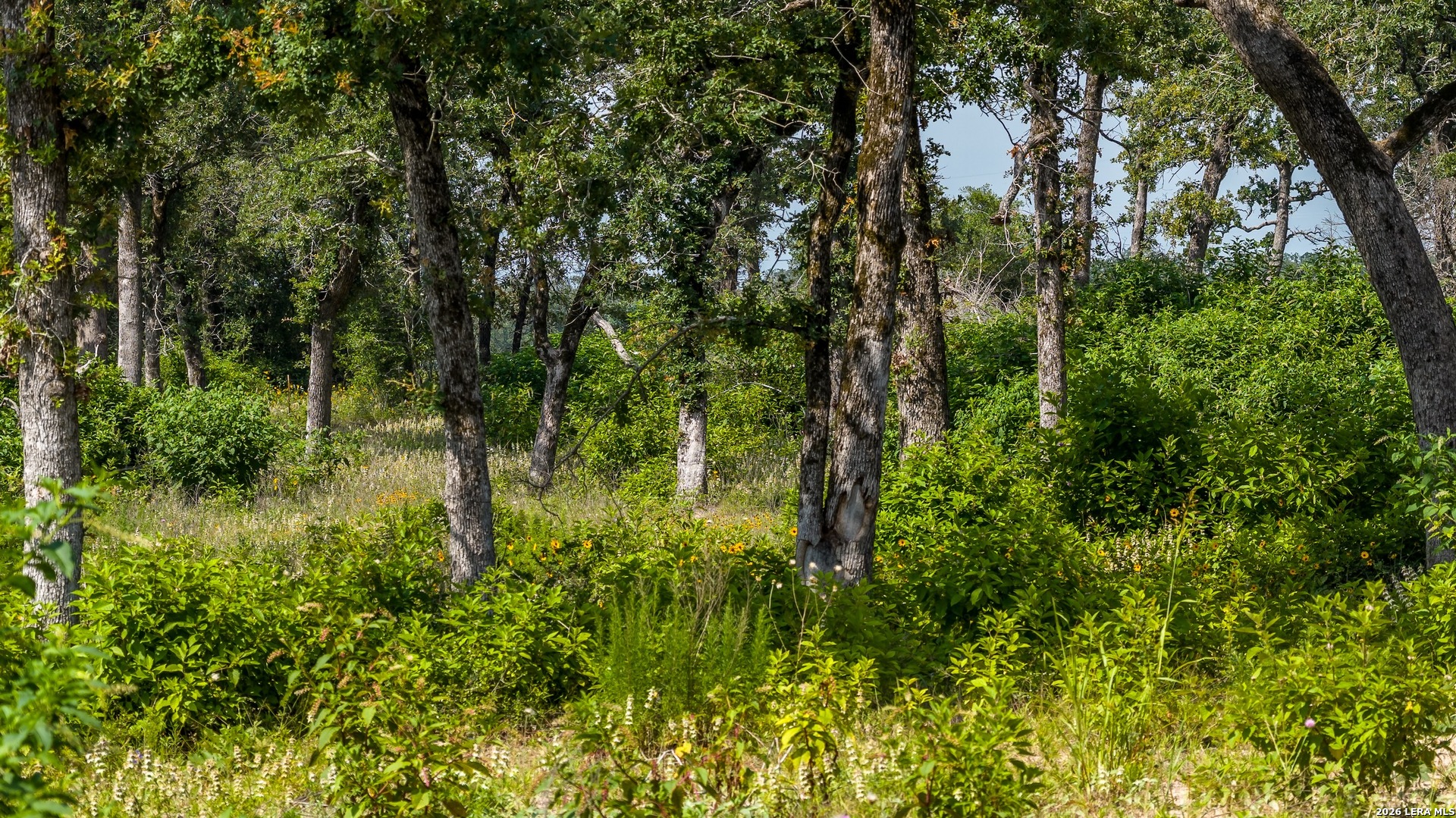1324 Private Road 4055 Lexington TX 78947