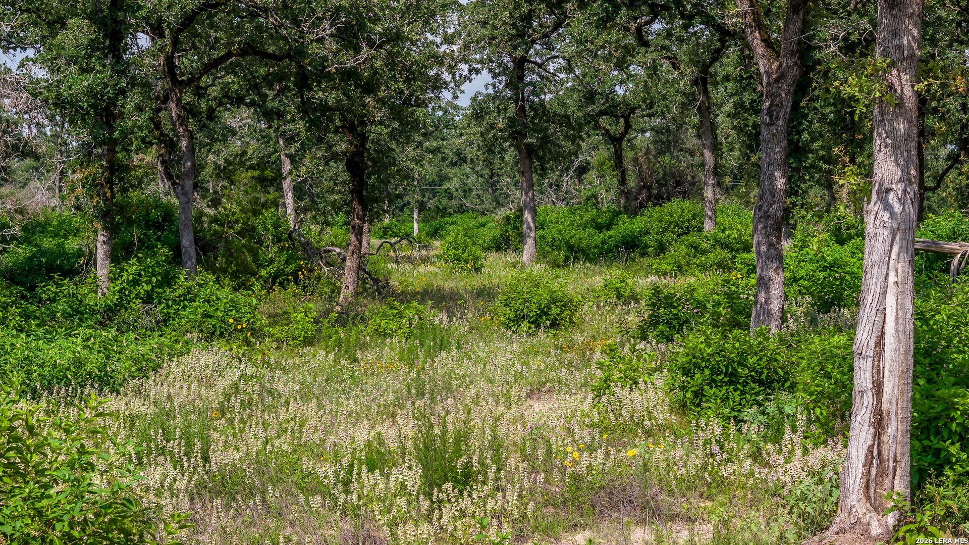 1324 Private Road 4055 Lexington TX 78947
