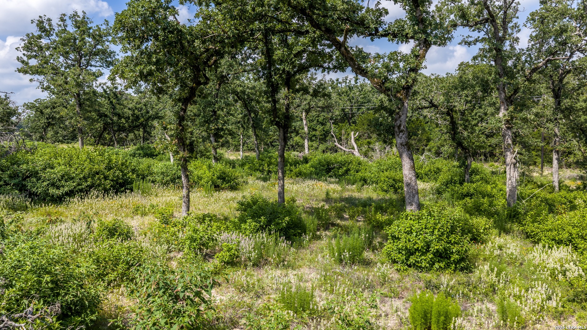 1324 Private Road 4055 Lexington TX 78947