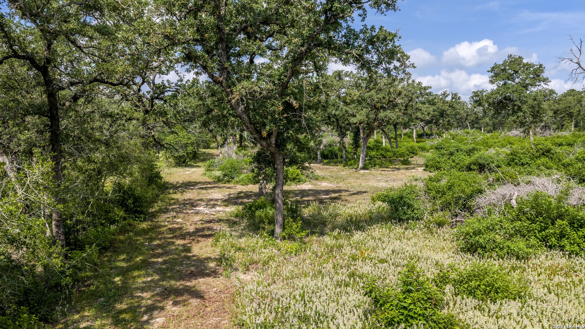 1324 Private Road 4055 Lexington TX 78947