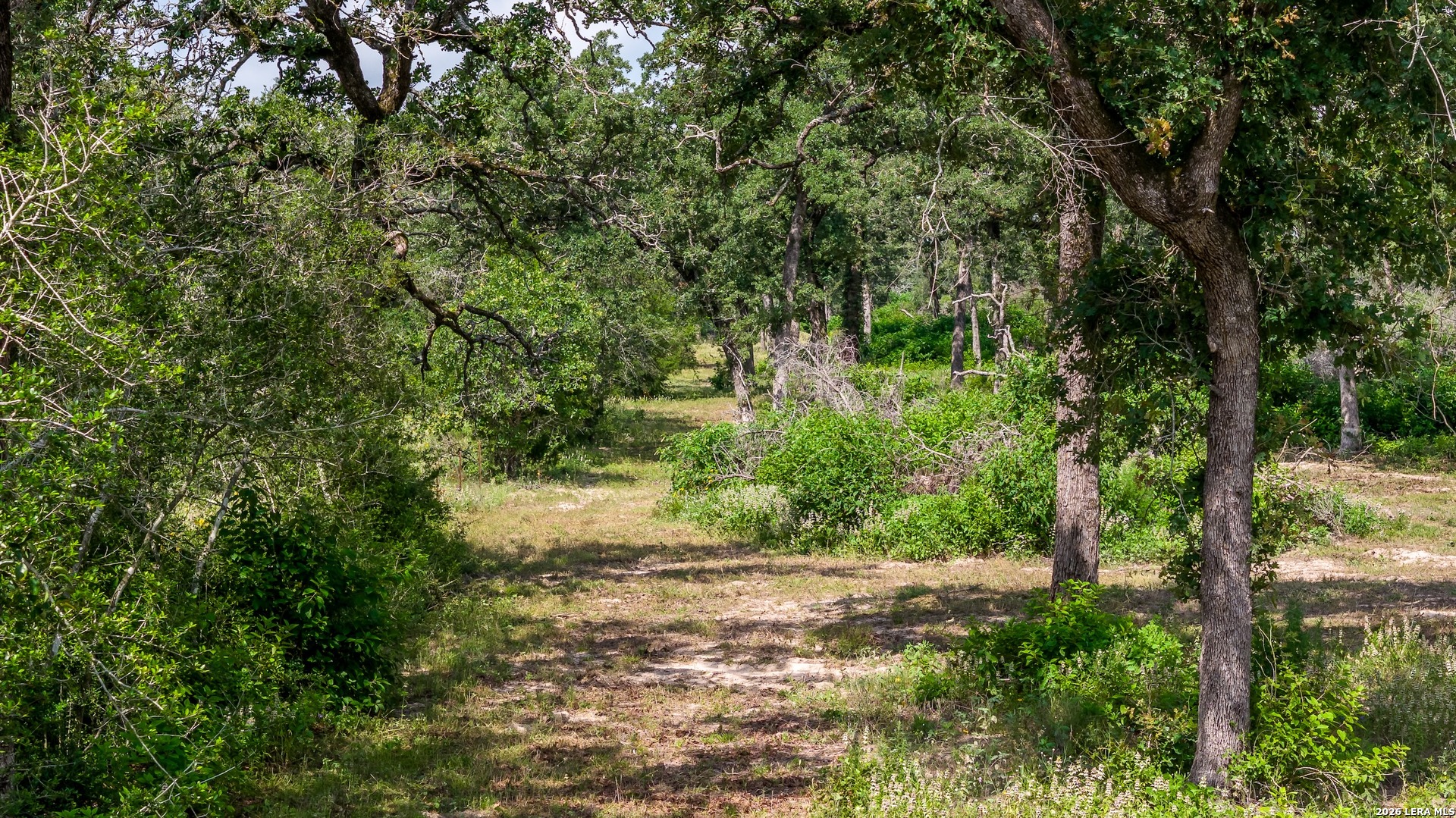 1324 Private Road 4055 Lexington TX 78947