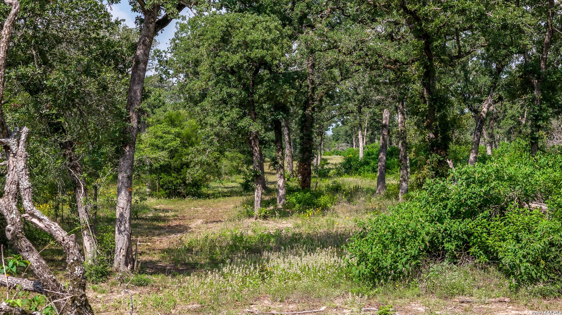 1324 Private Road 4055 Lexington TX 78947