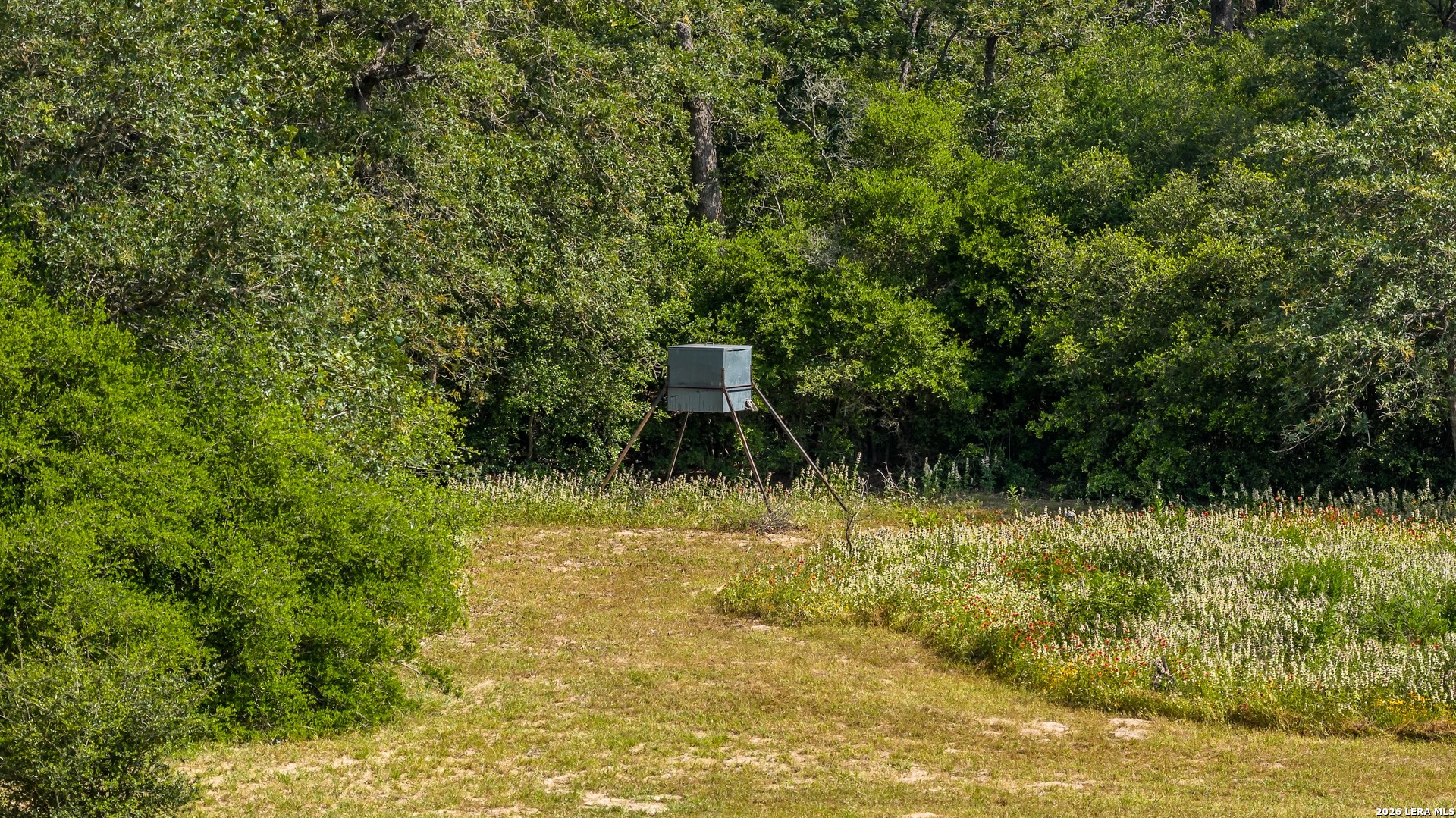 1324 Private Road 4055 Lexington TX 78947