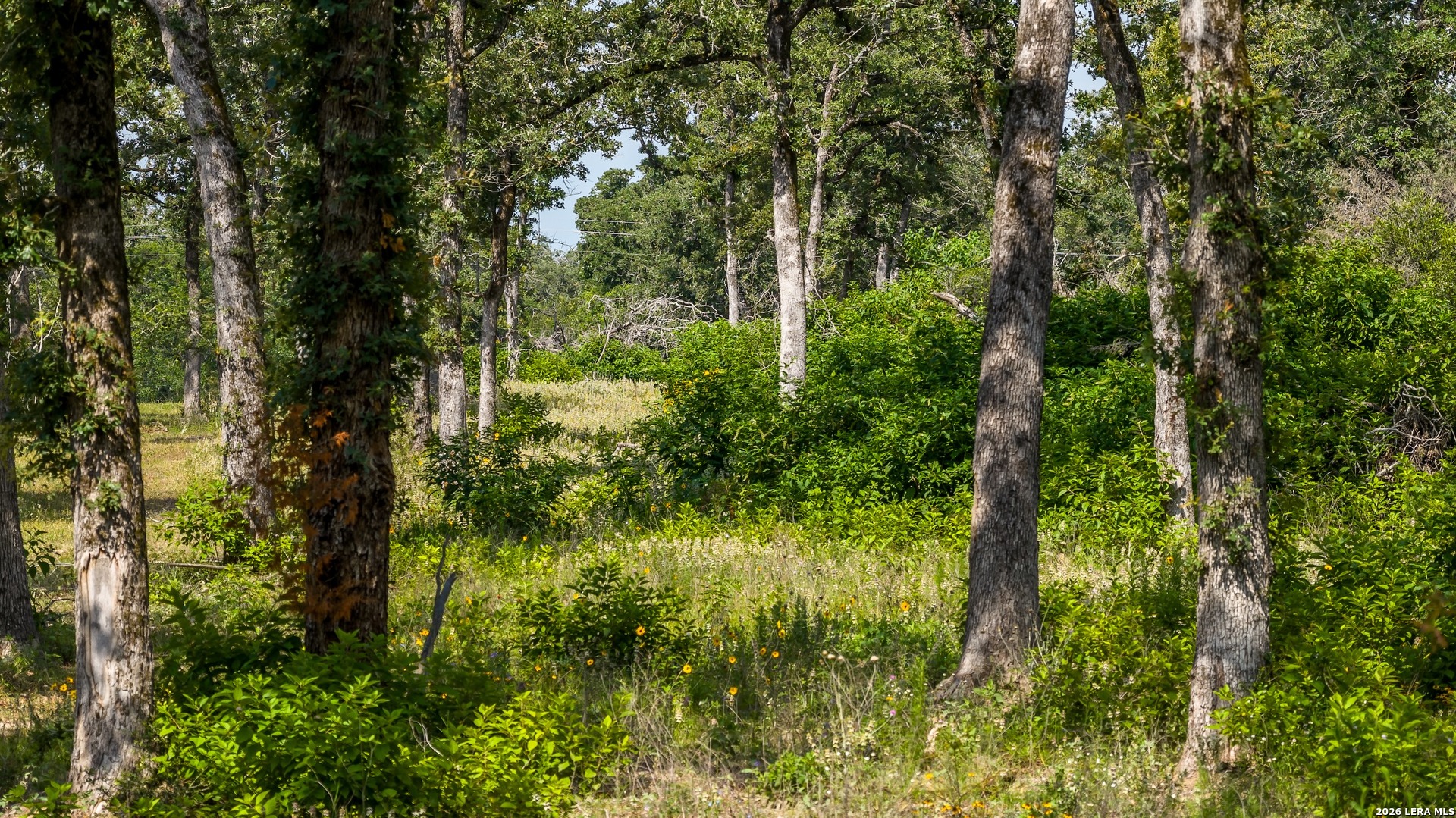1324 Private Road 4055 Lexington TX 78947