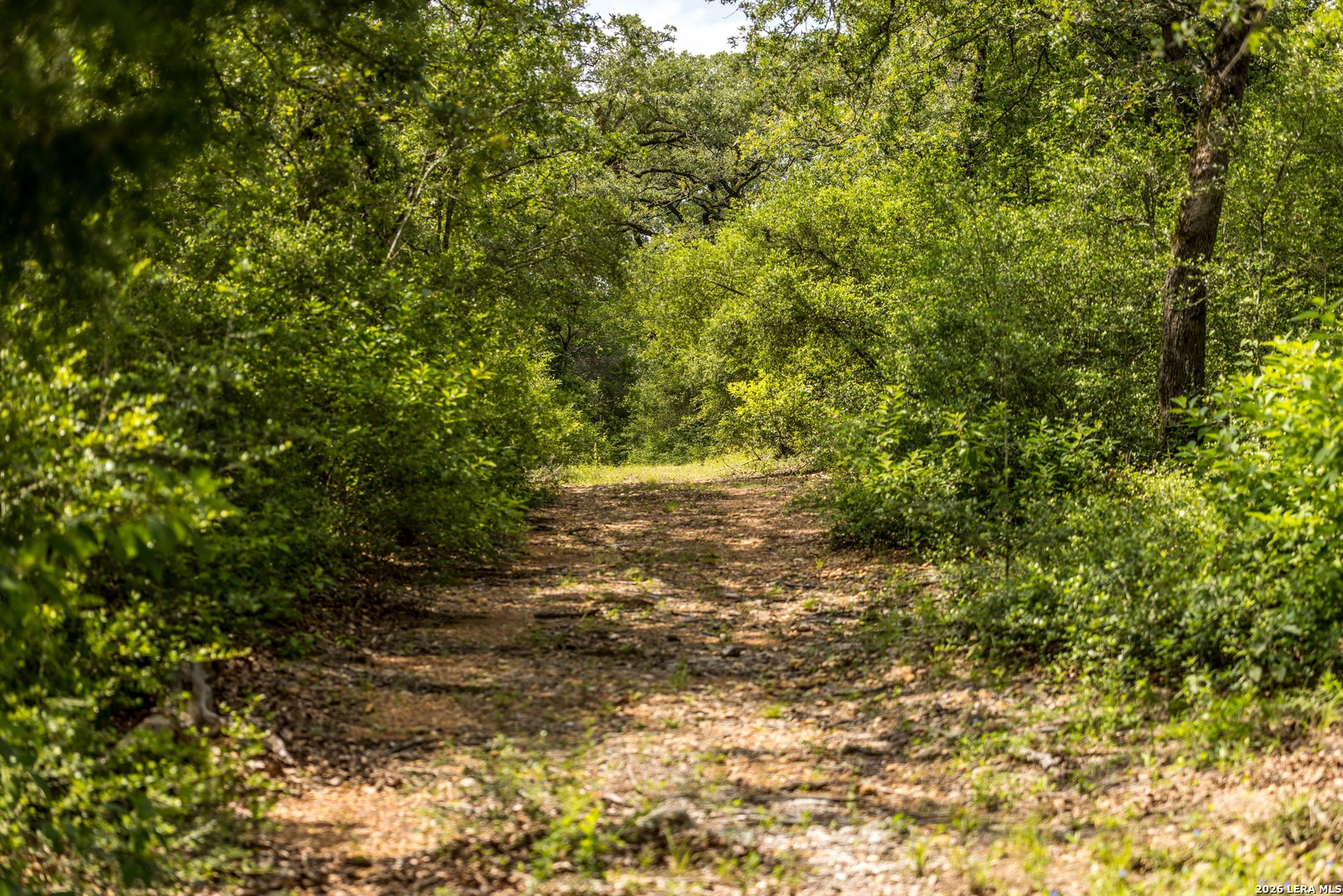 1324 Private Road 4055 Lexington TX 78947