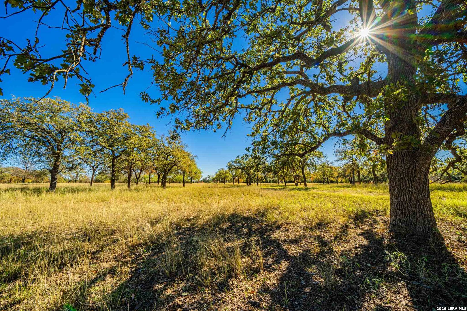 183 Teton Lane Fredericksburg TX 78624