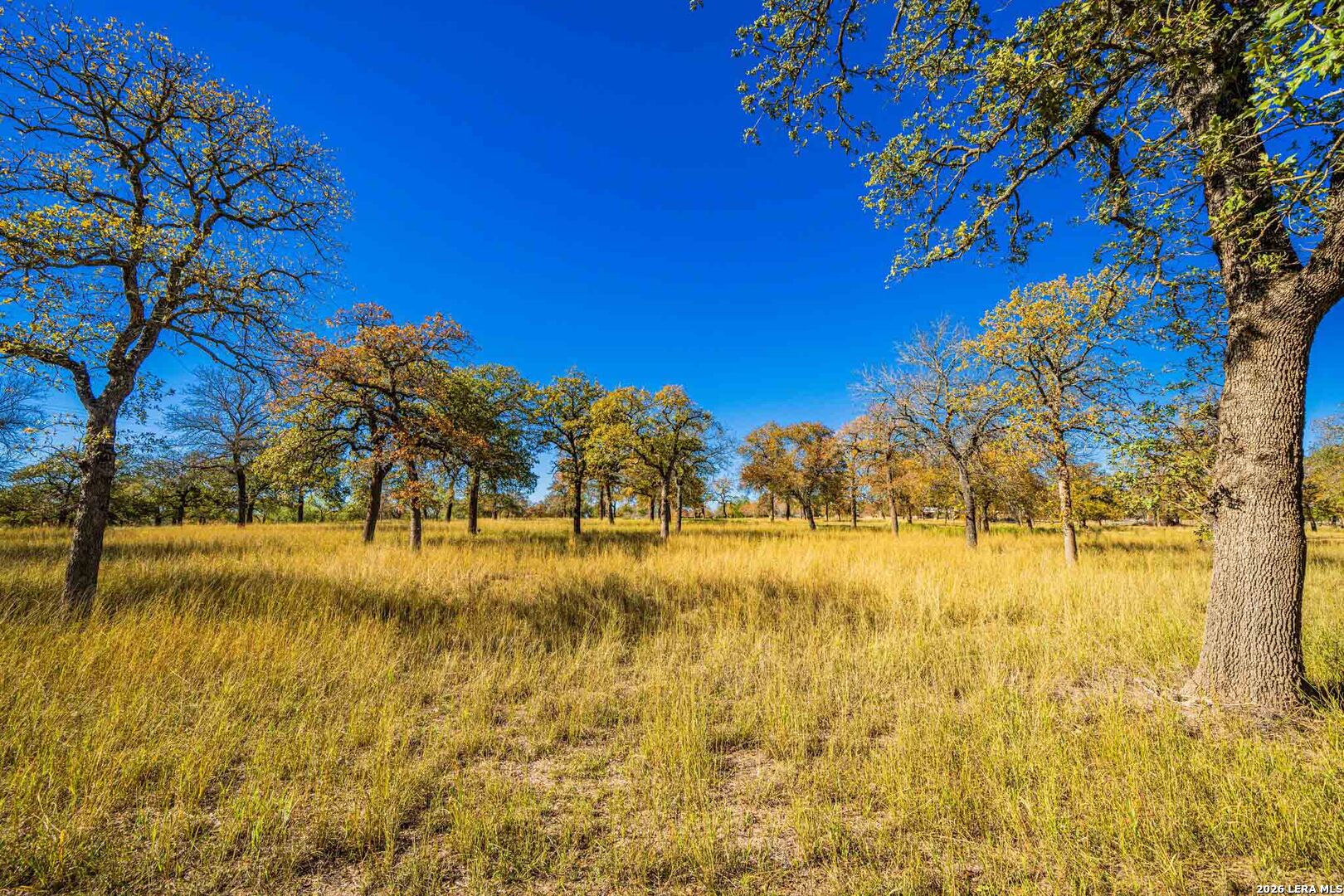 183 Teton Lane Fredericksburg TX 78624