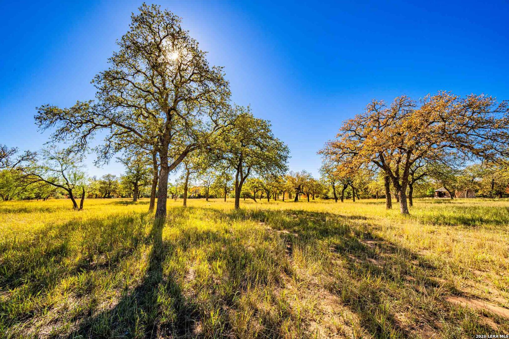183 Teton Lane Fredericksburg TX 78624