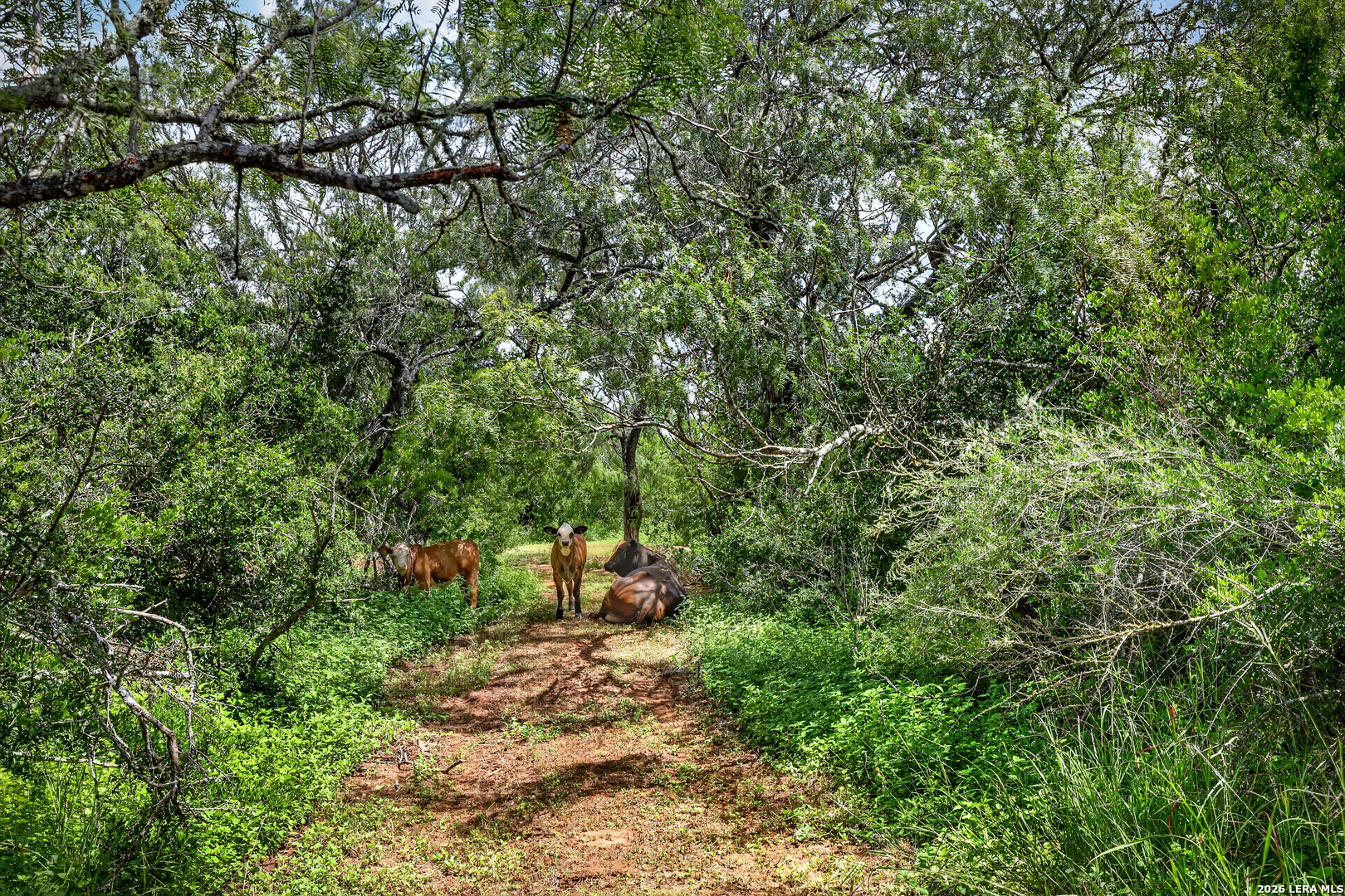 622 County Road 460 Stockdale TX 78160
