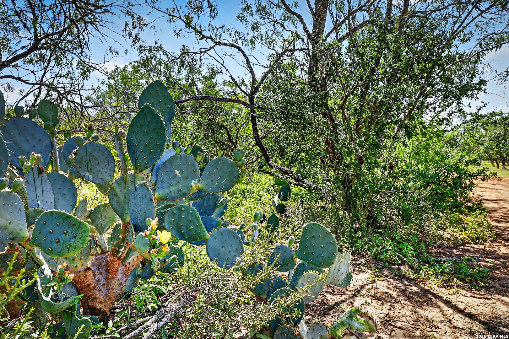 622 County Road 460 Stockdale TX 78160
