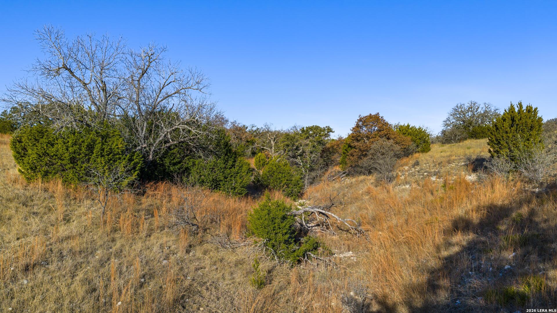 13697 Wpa Road London TX 76854