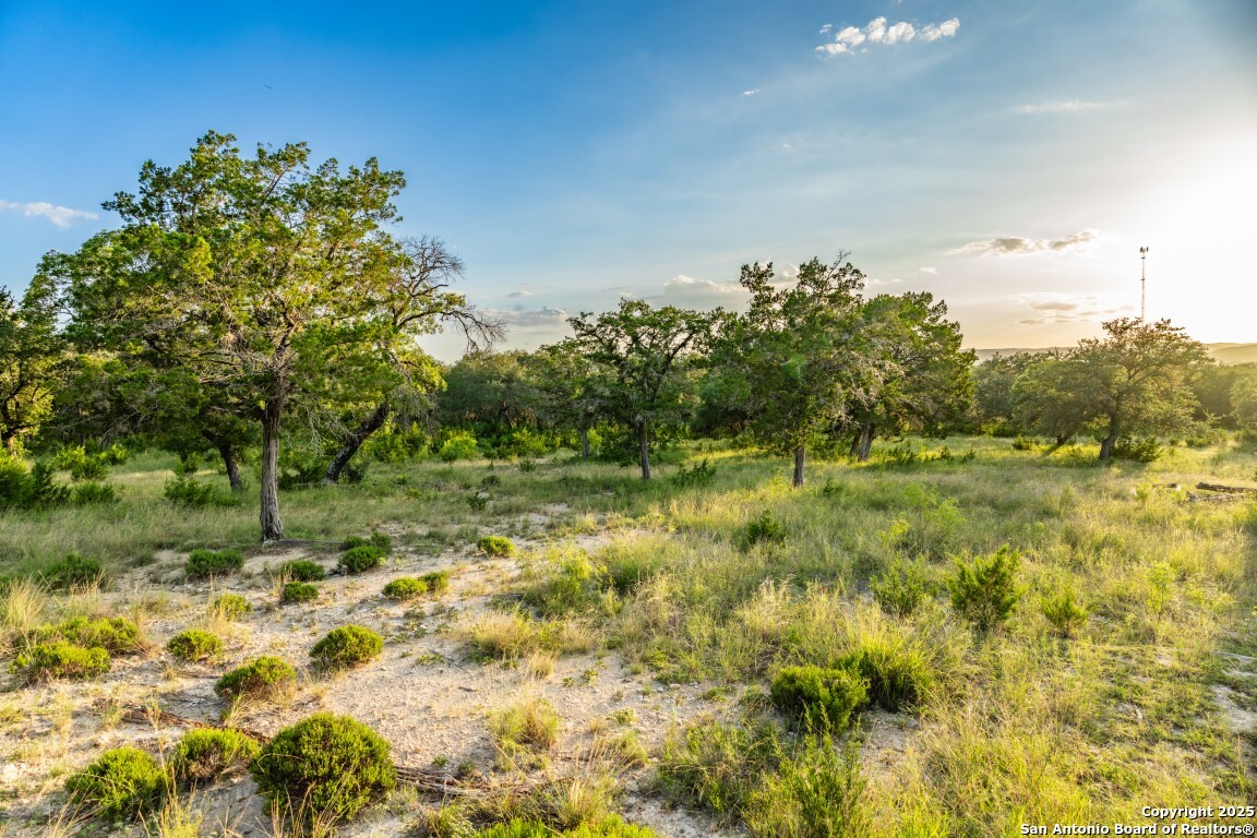 599 Mountain View Road Utopia TX 78884