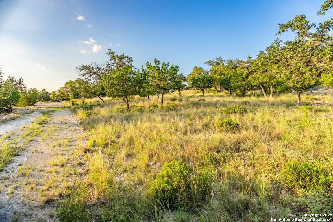 599 Mountain View Road Utopia TX 78884