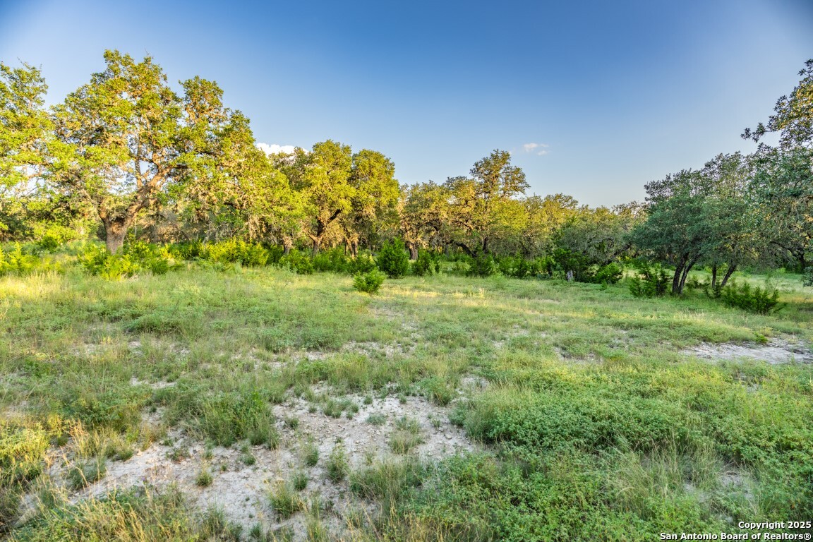 599 Mountain View Road Utopia TX 78884