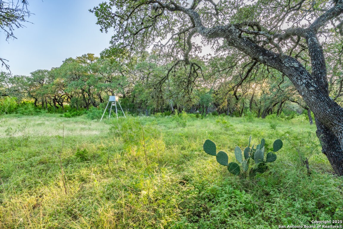 599 Mountain View Road Utopia TX 78884