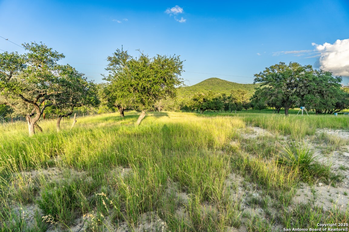 599 Mountain View Road Utopia TX 78884
