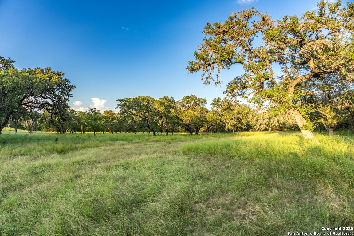 599 Mountain View Road Utopia TX 78884