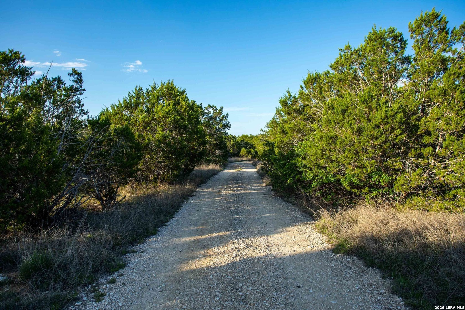230 Camino Real Junction TX 76849