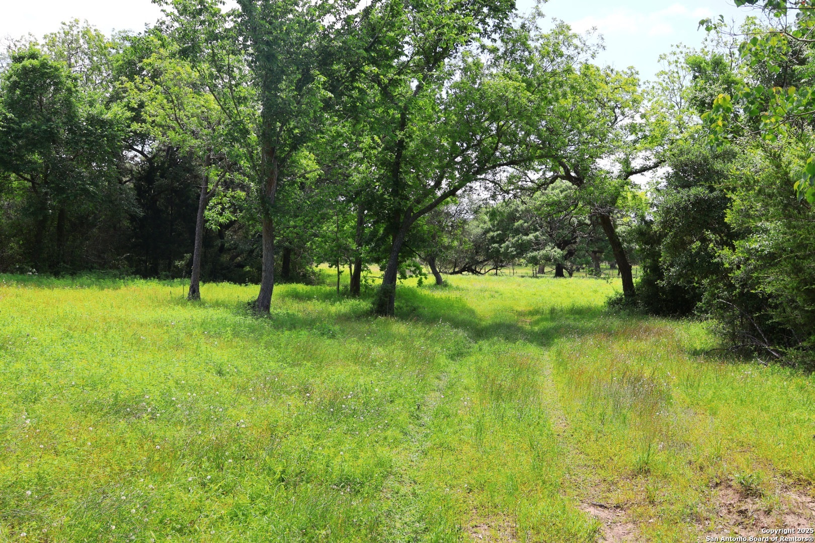 1922 County Road 407 Yoakum TX 77995