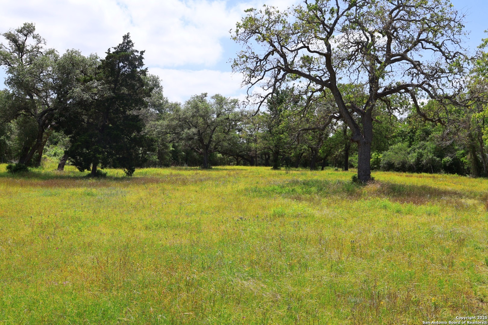 1922 County Road 407 Yoakum TX 77995