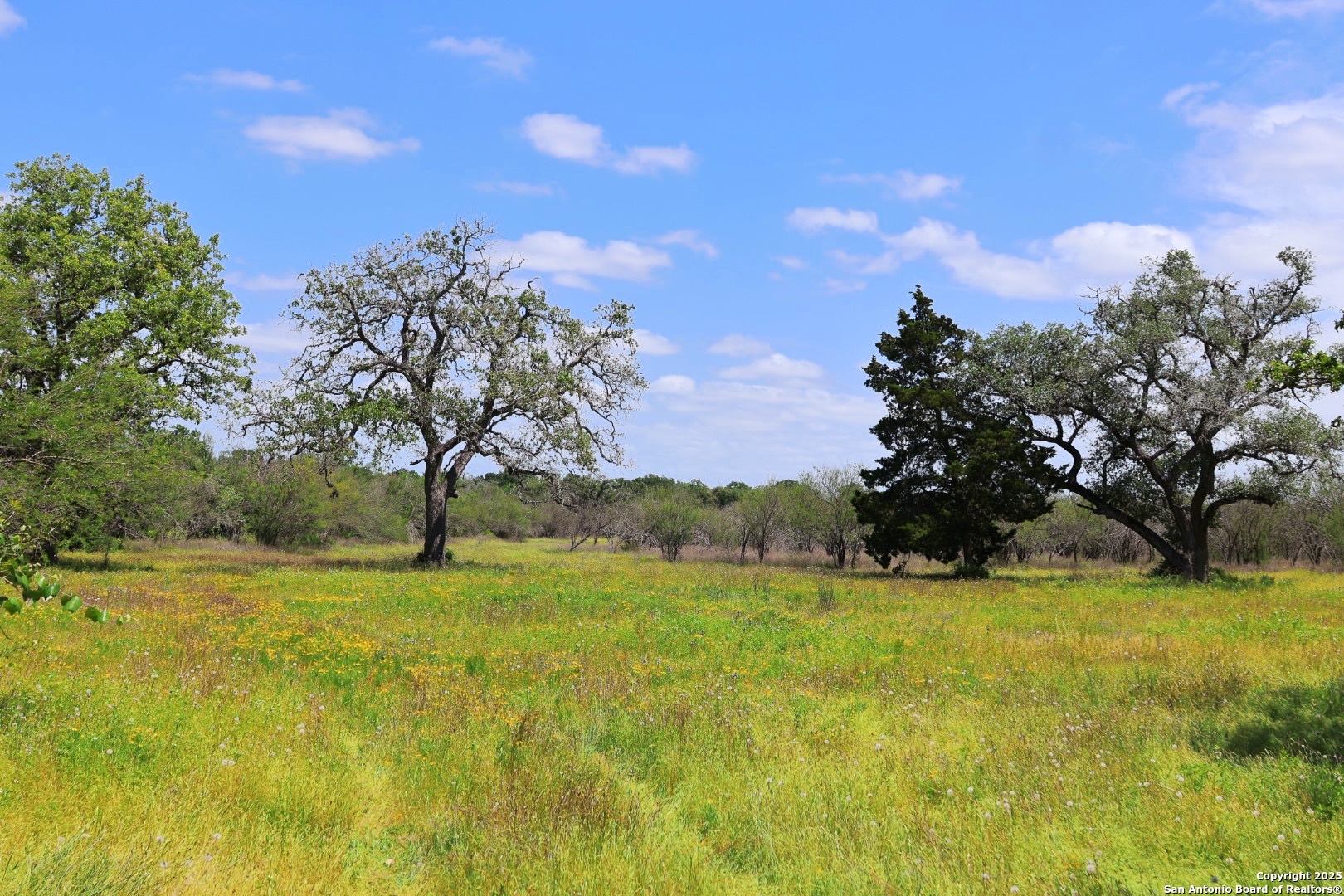 1922 County Road 407 Yoakum TX 77995