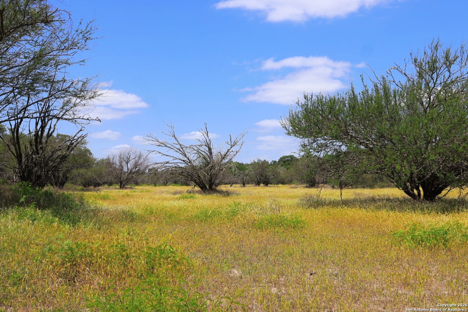 1922 County Road 407 Yoakum TX 77995