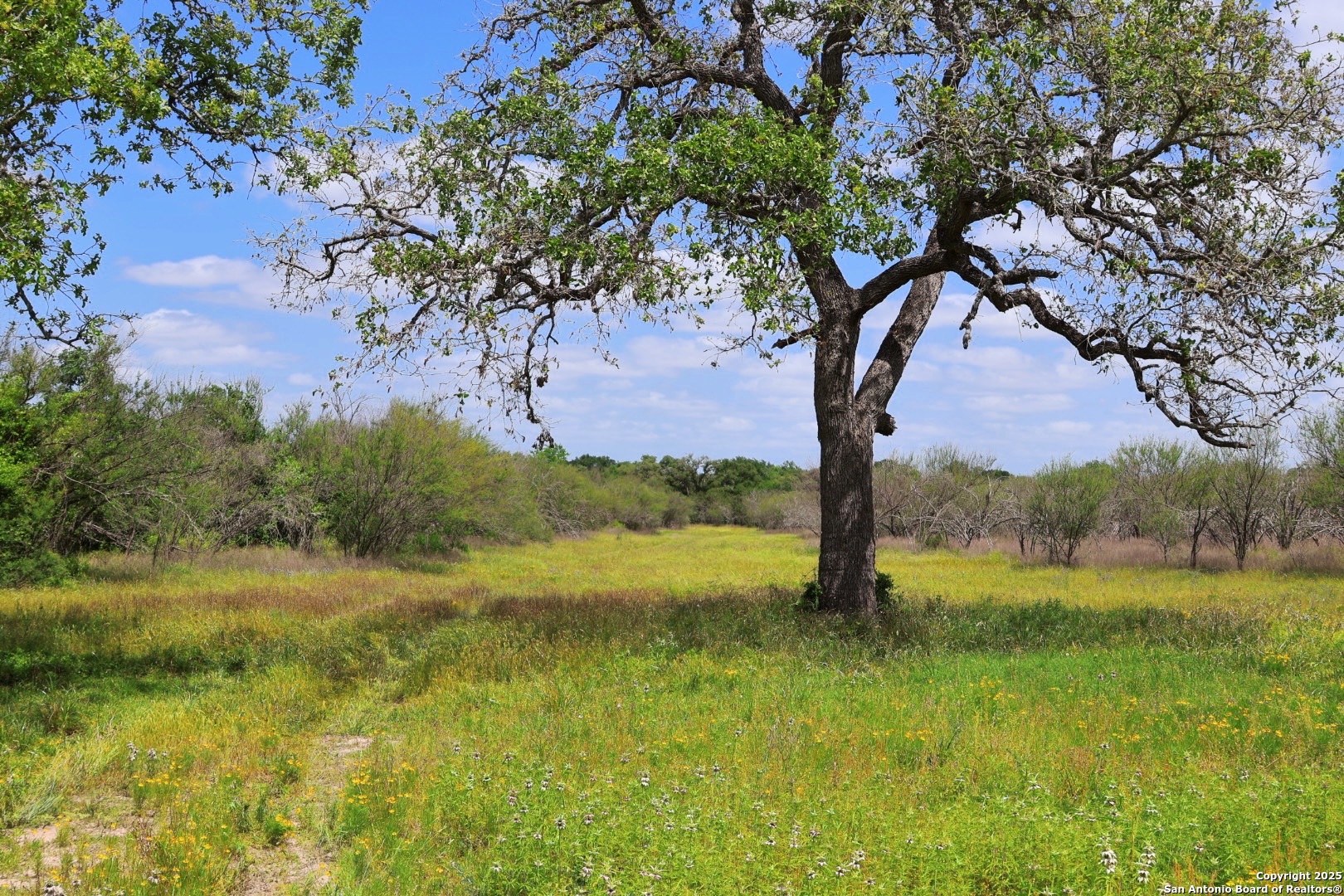 1922 County Road 407 Yoakum TX 77995