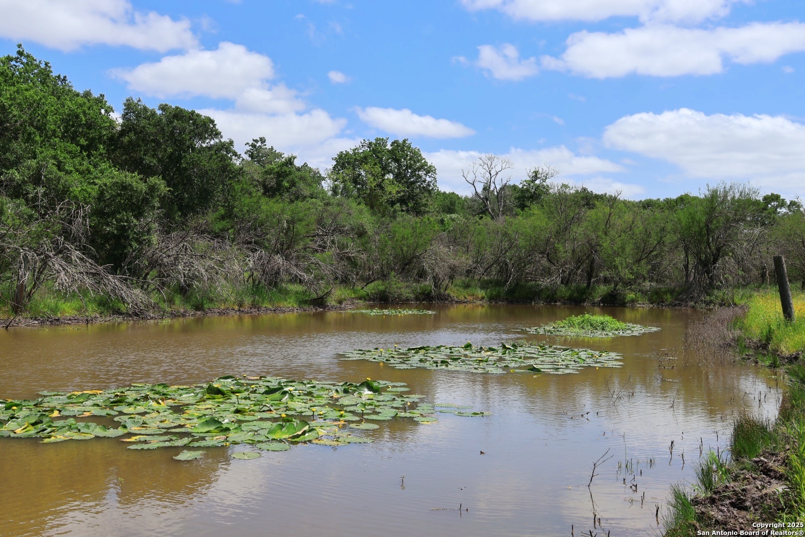 1922 County Road 407 Yoakum TX 77995