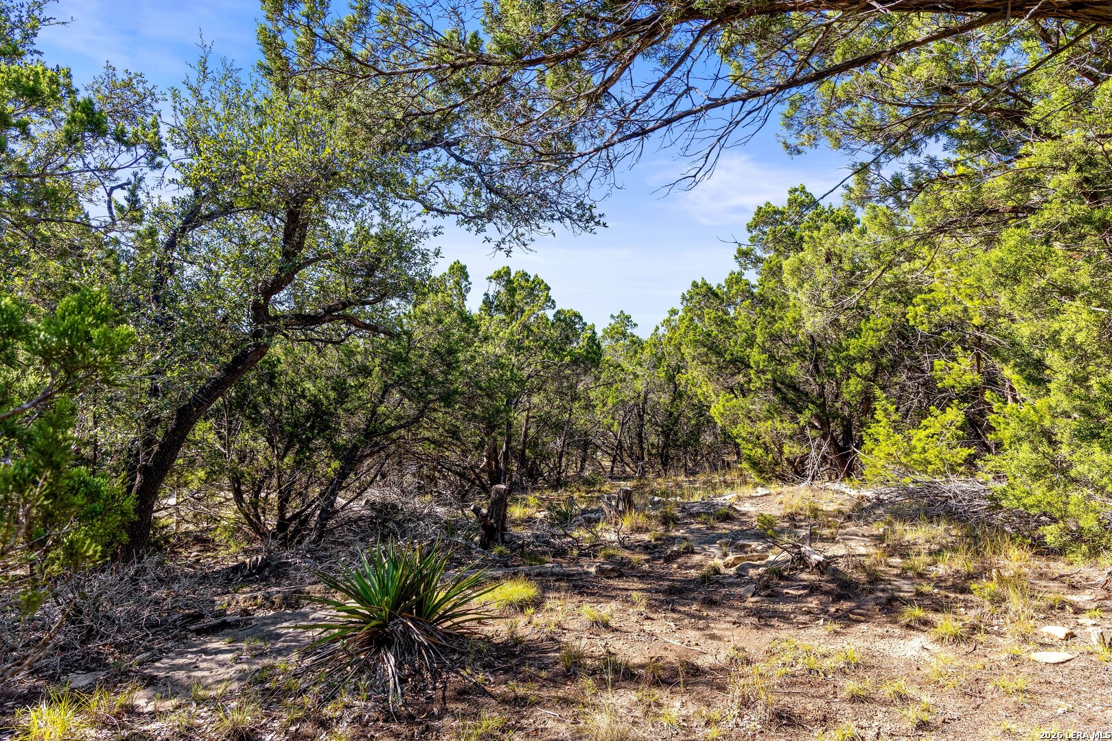 1770 Divide Pass Blanco TX 78606