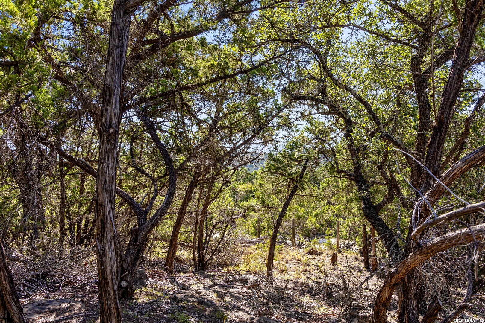 1770 Divide Pass Blanco TX 78606