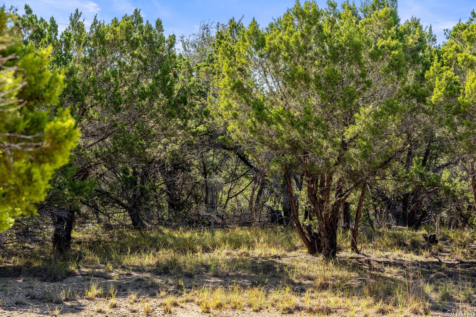 1770 Divide Pass Blanco TX 78606