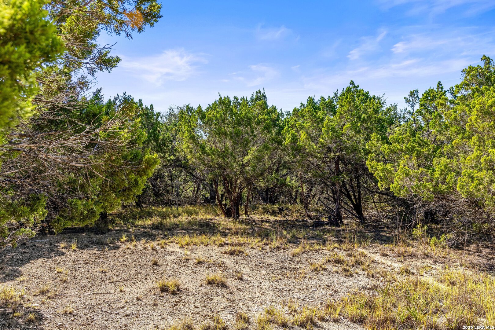 1770 Divide Pass Blanco TX 78606