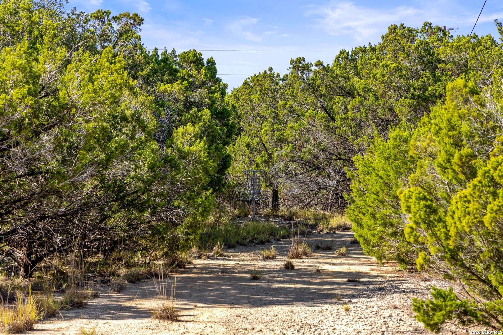 1770 Divide Pass Blanco TX 78606