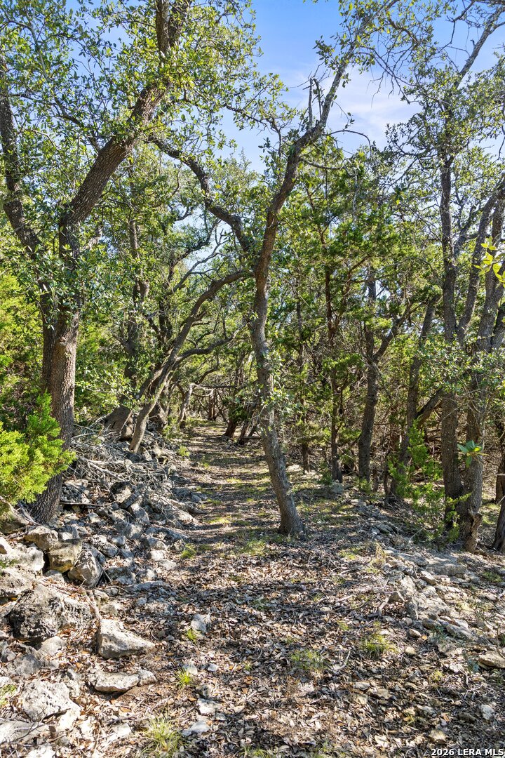 1770 Divide Pass Blanco TX 78606