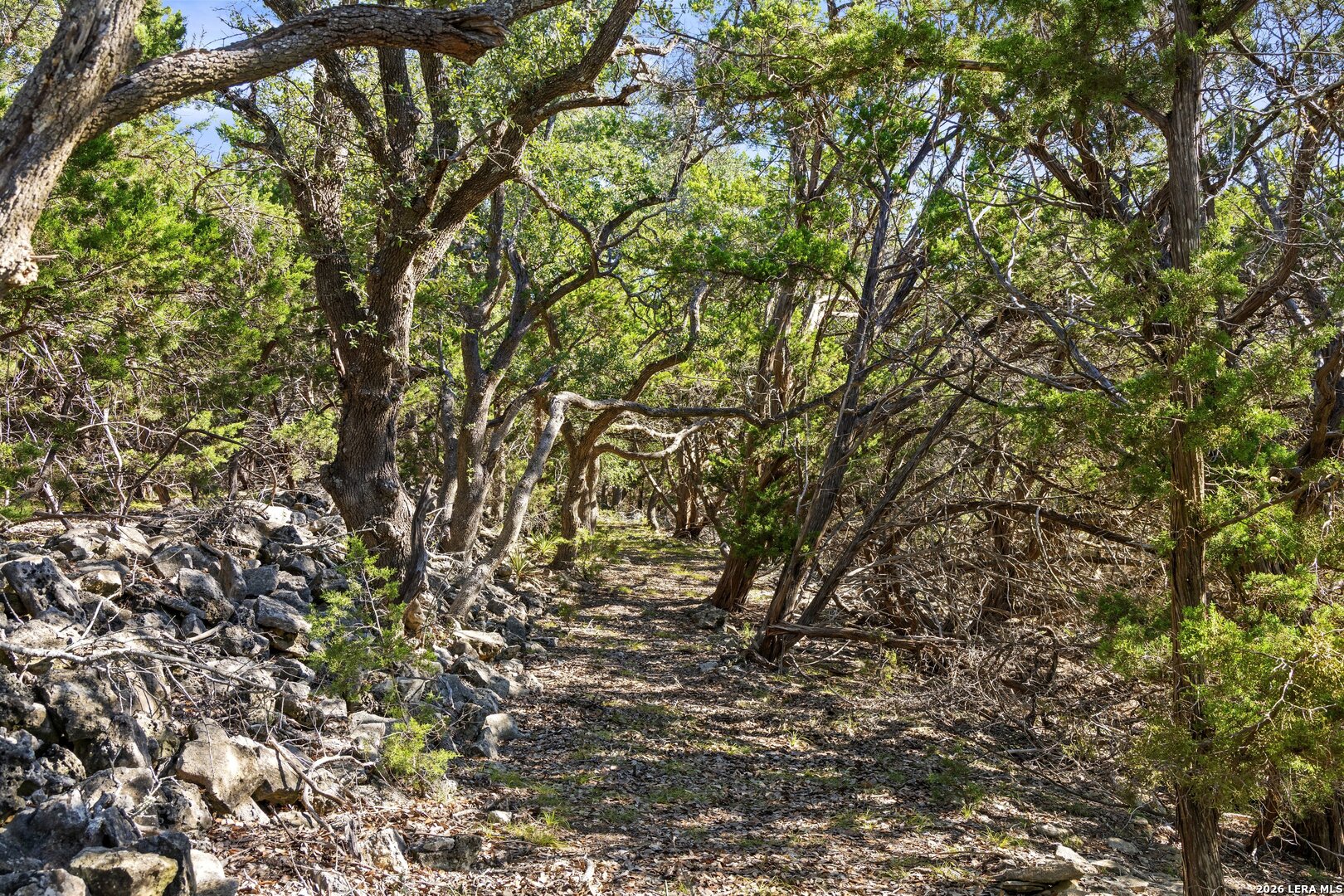 1770 Divide Pass Blanco TX 78606