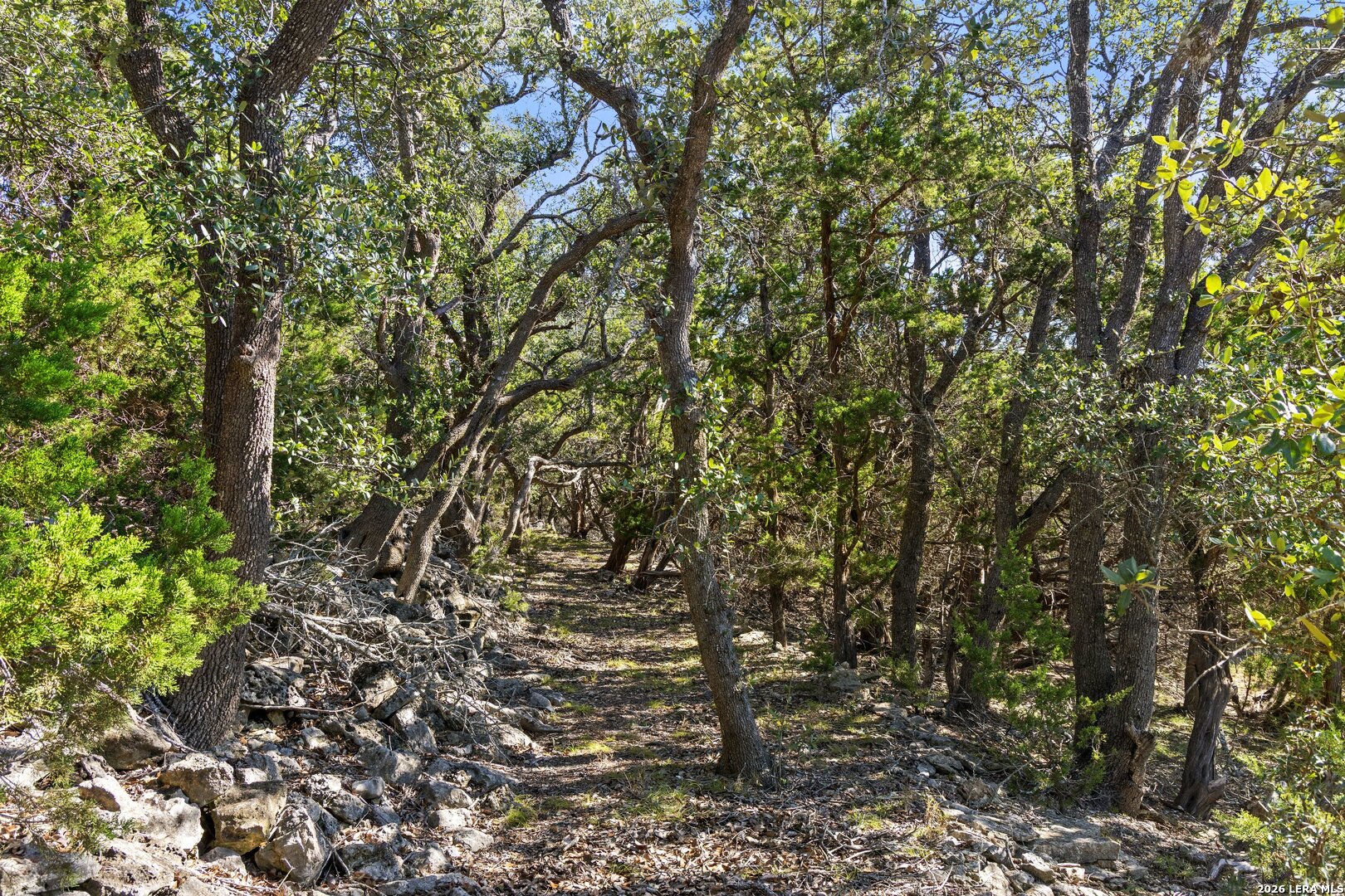1770 Divide Pass Blanco TX 78606