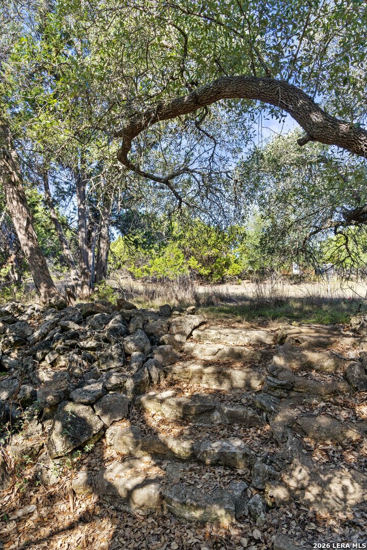 1770 Divide Pass Blanco TX 78606