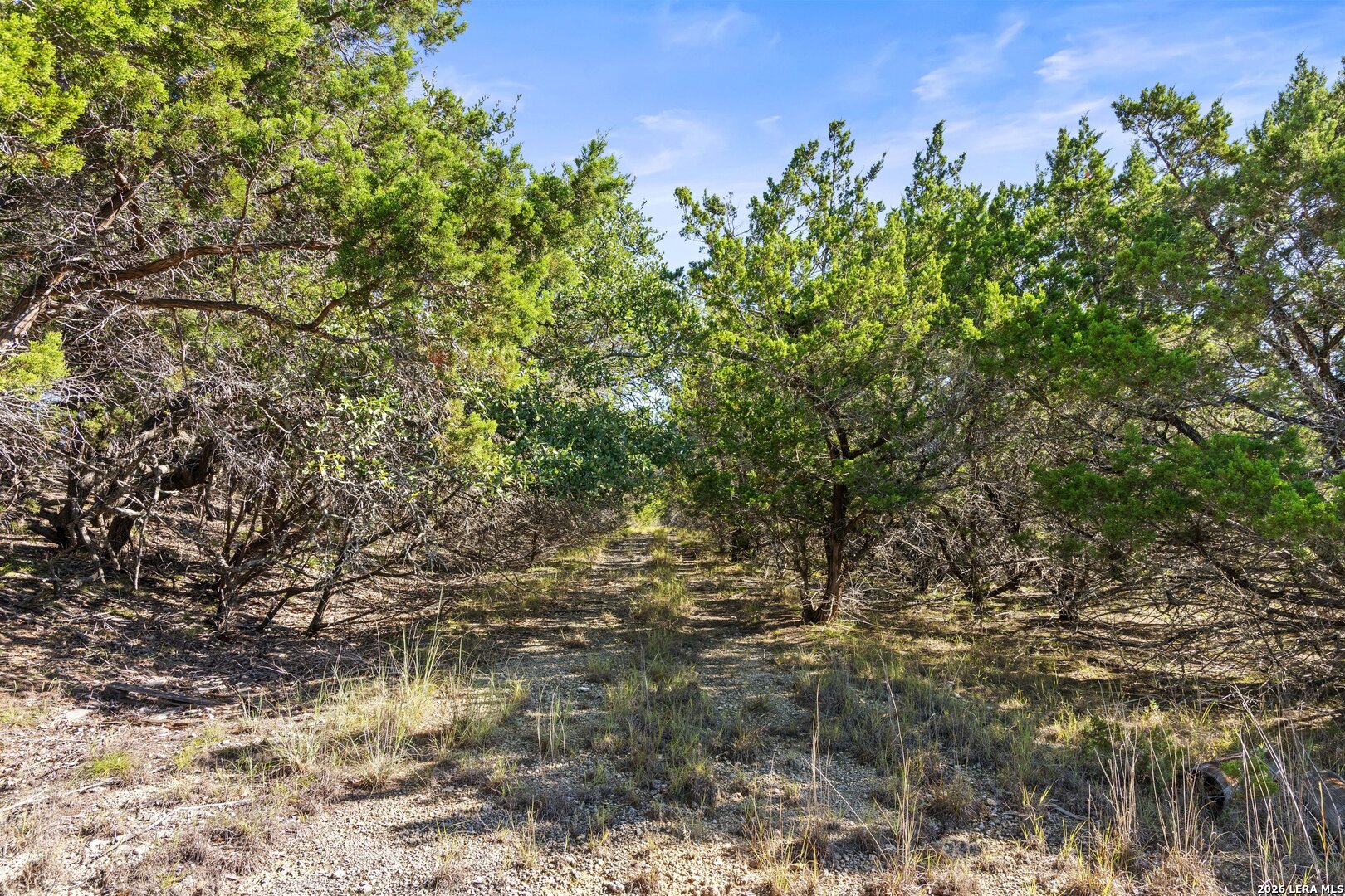1770 Divide Pass Blanco TX 78606